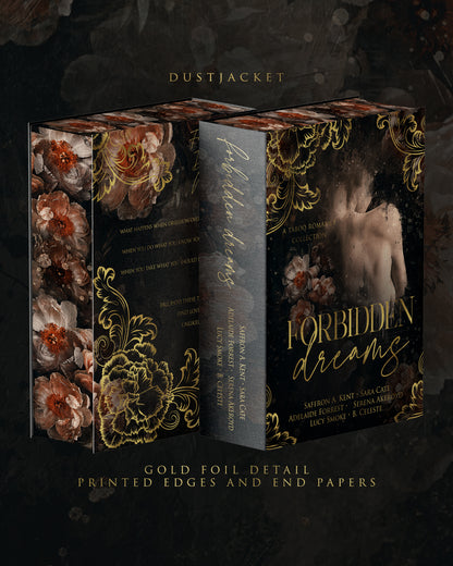 OVERSTOCK Forbidden Dreams: Taboo Romance Collectors Edition